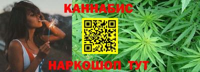 МДПВ Камышлов