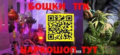 МДПВ Камышлов