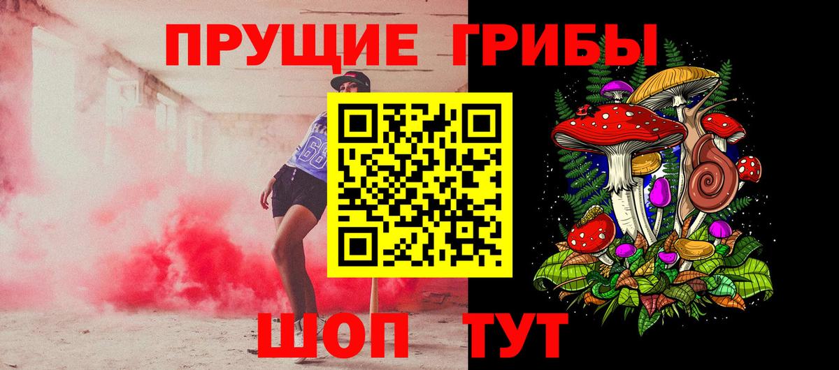 Красноярск  Псилоцибиновые грибы GOLDEN TEACHER  Вход с VPN 